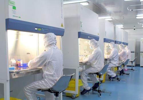 植物细胞实验室如何施工建设