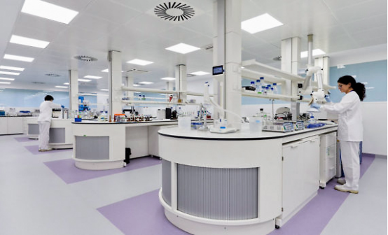 植物细胞实验室如何施工建设