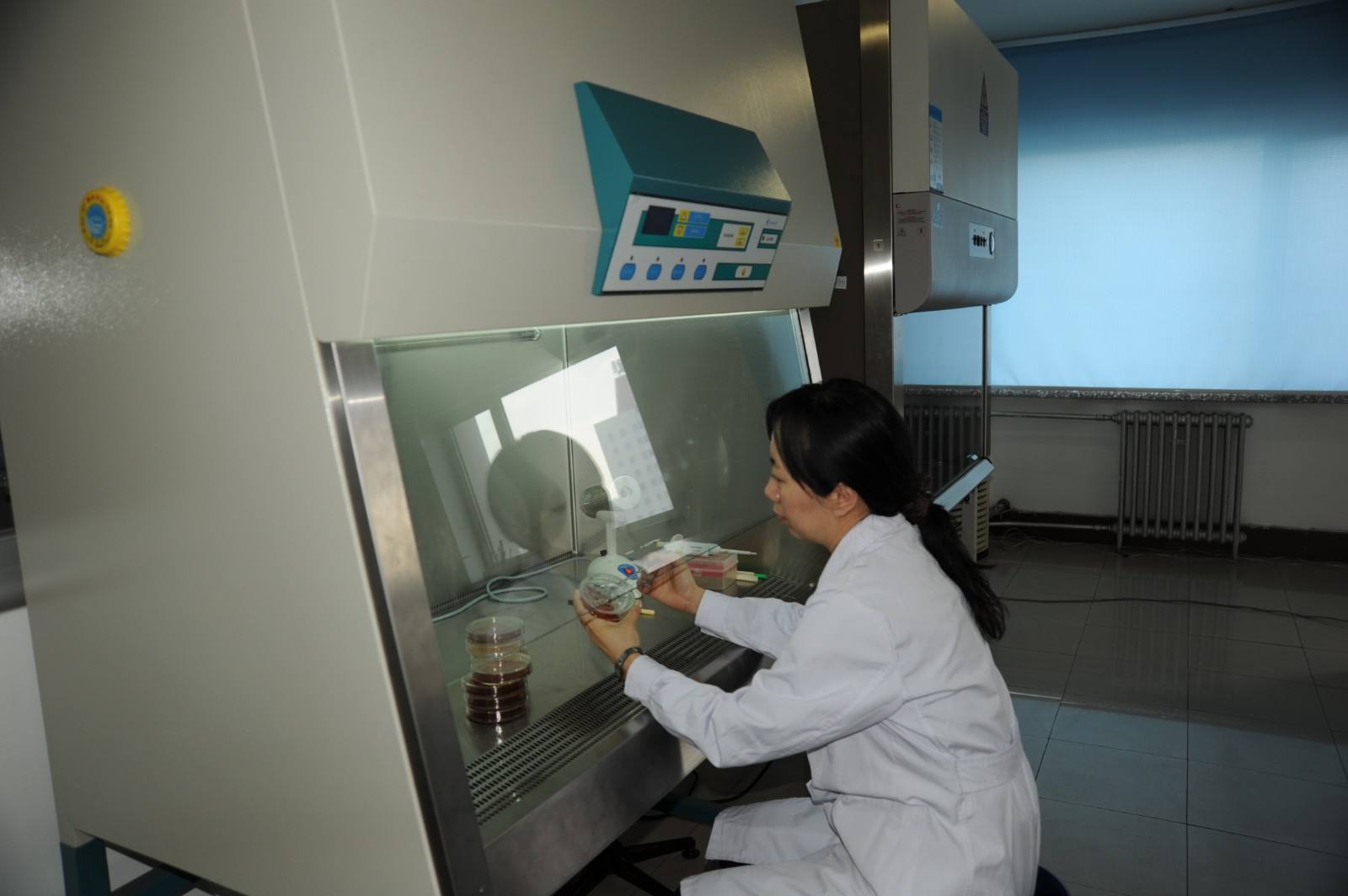 微生物无菌实验室建设要点