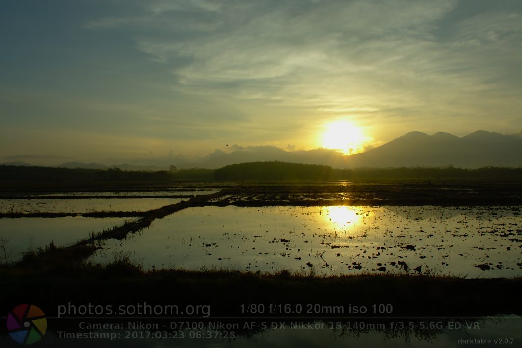 ท้องทุ่งนายามเช้า