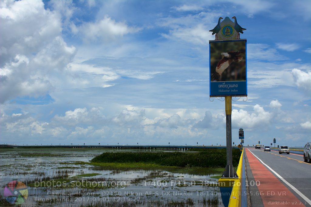 วิวสะพานเฉลิมพระเกียรติ